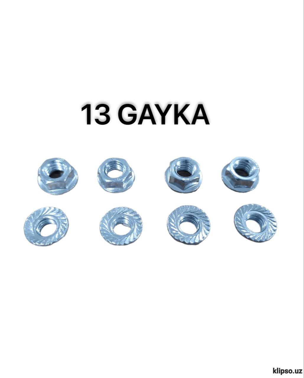 13 GAYKA X-T